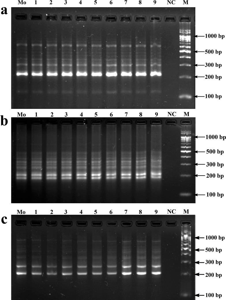 Fig 5