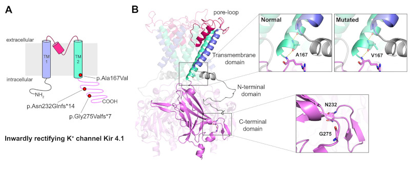 Figure 2.