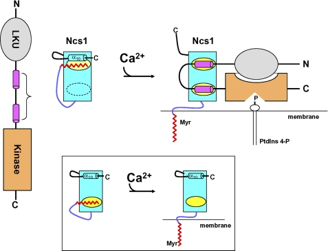 FIGURE 6.