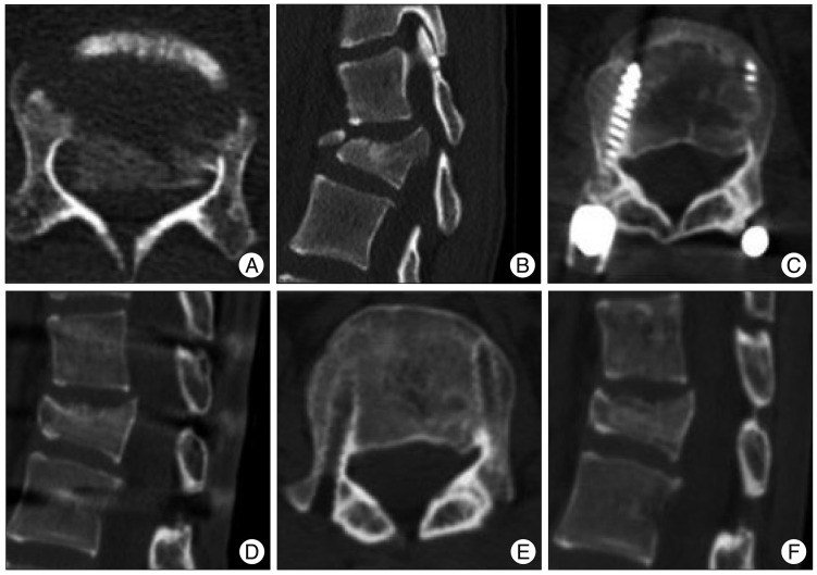 Fig. 5