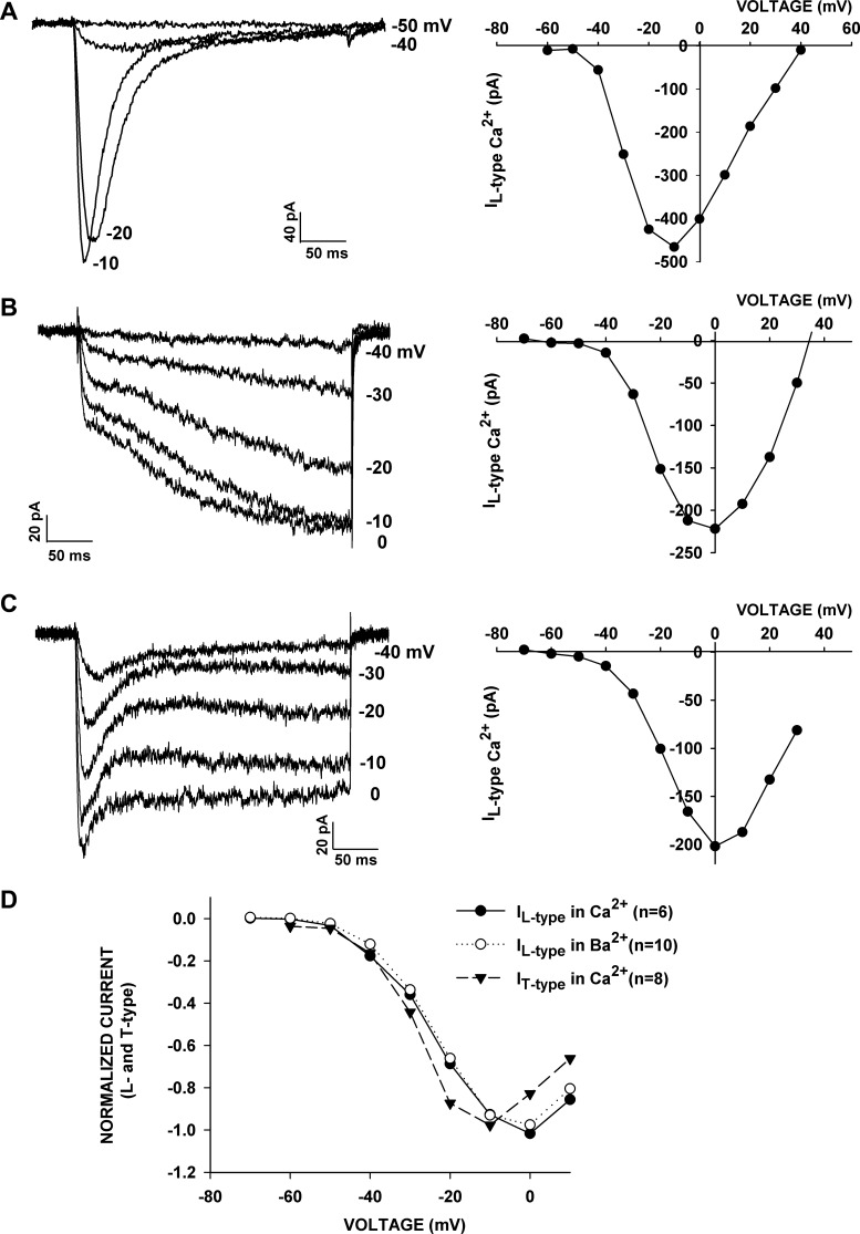 Fig. 6.