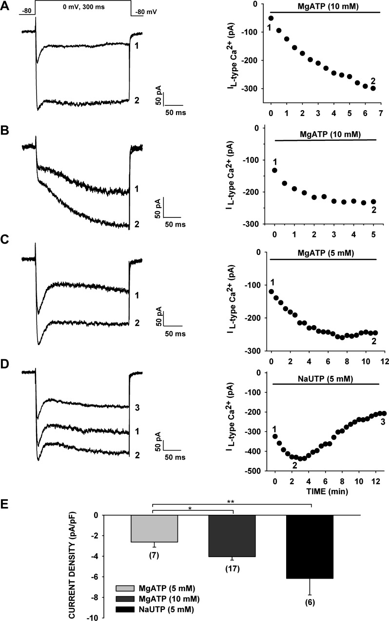 Fig. 3.