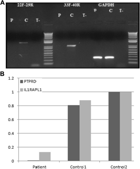 Fig. 4