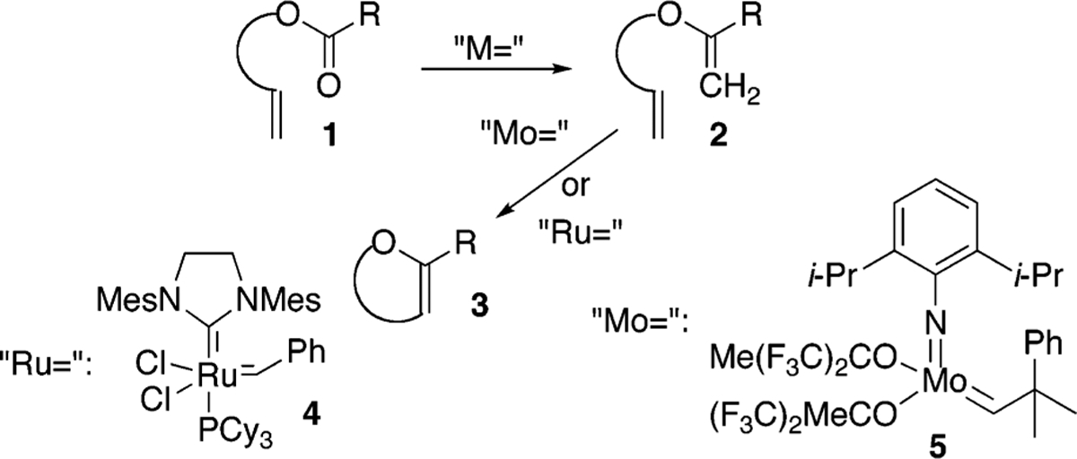 Scheme 1