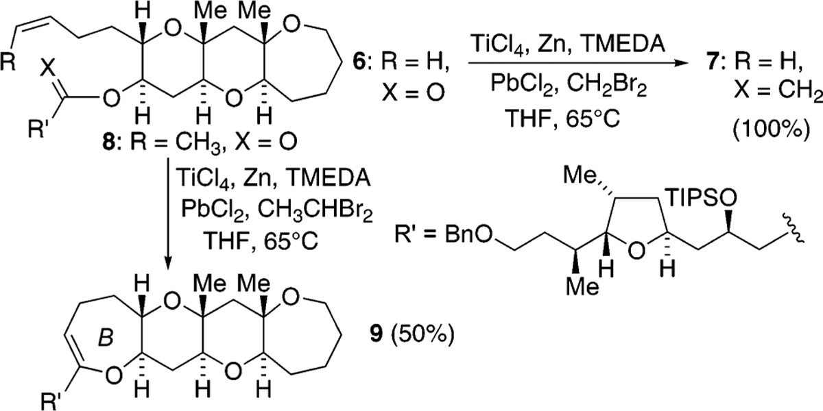 Scheme 2