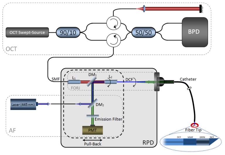 Fig. 1