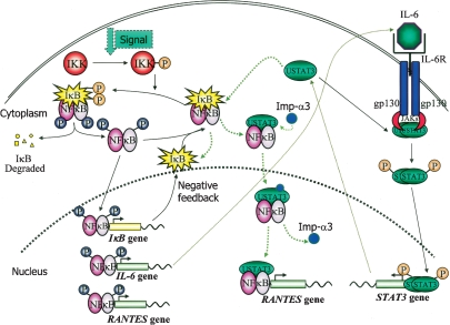 Figure 6.