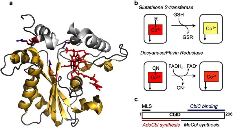 FIGURE 3.