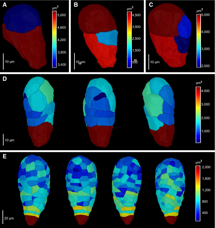 Fig. 2