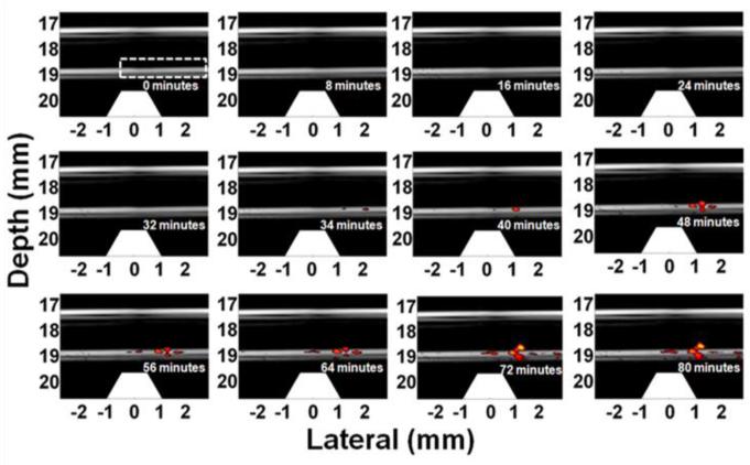 Figure 9