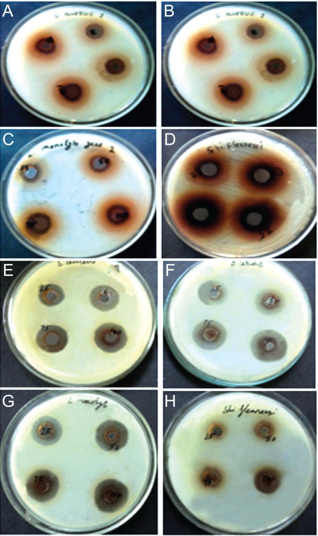 Figure 5