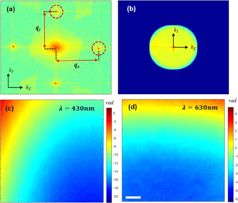 Fig. 2