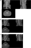 Fig 1 –