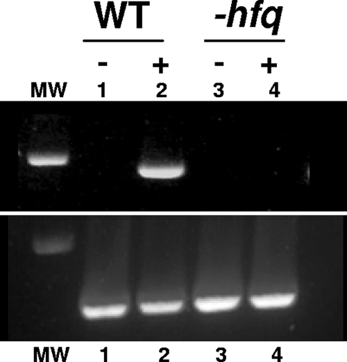 FIG. 5.