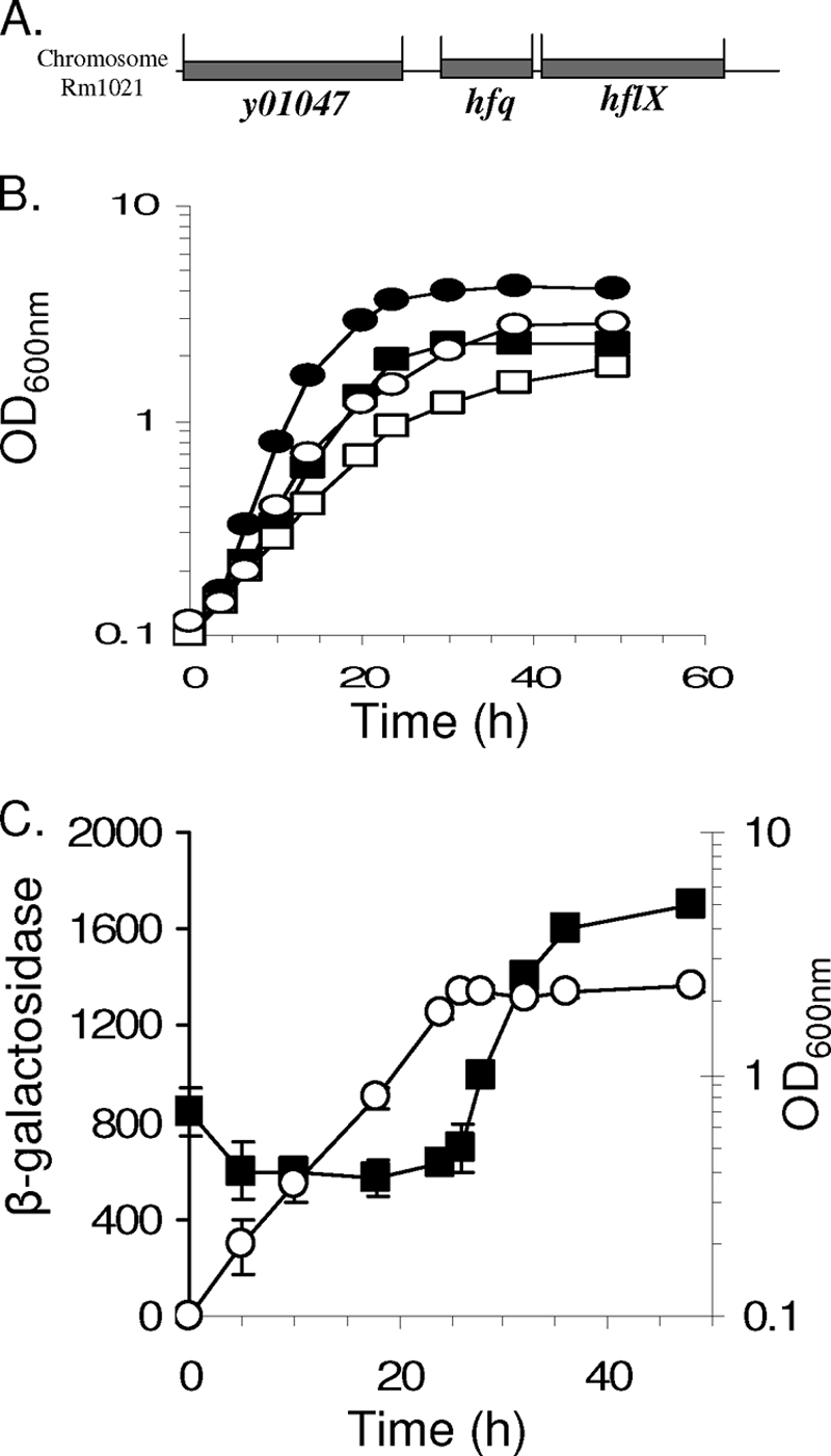 FIG. 1.