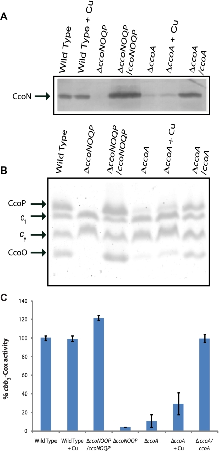 FIG 4 