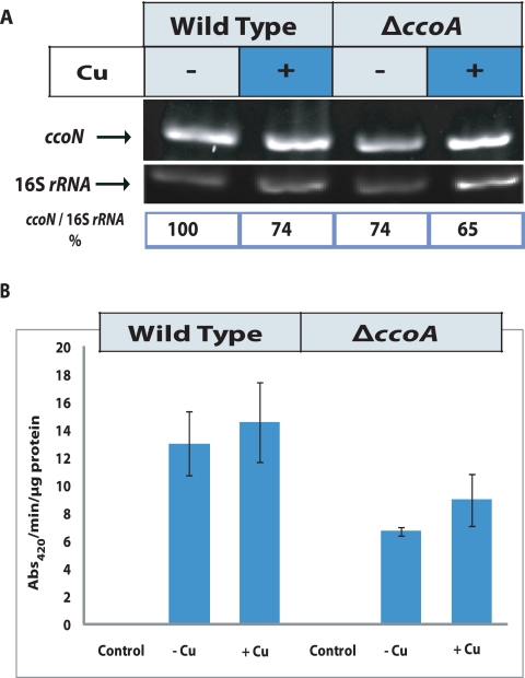 FIG 3 