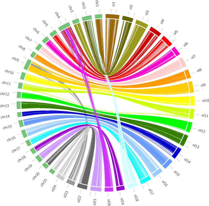 Figure 2: