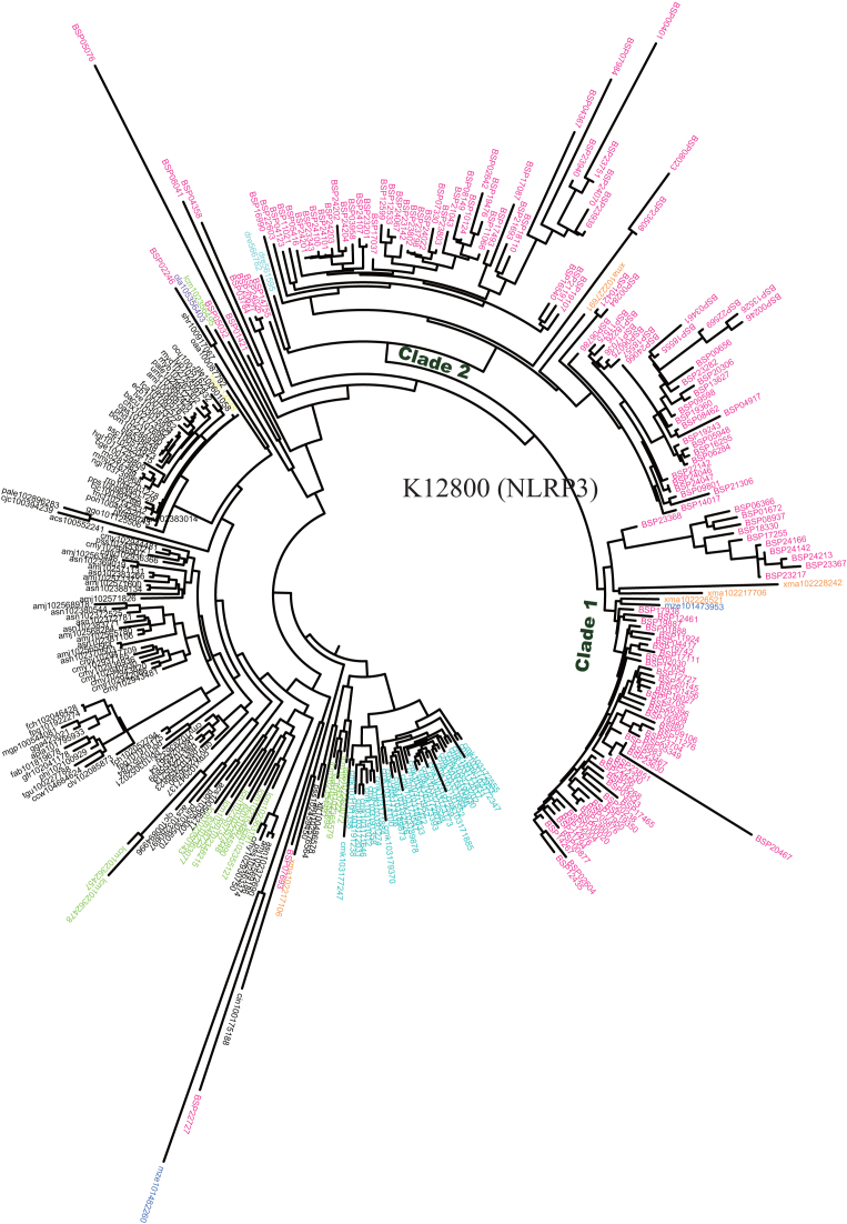 Figure 4: