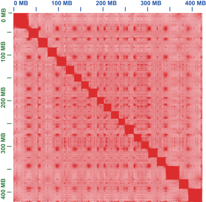 Figure 1: