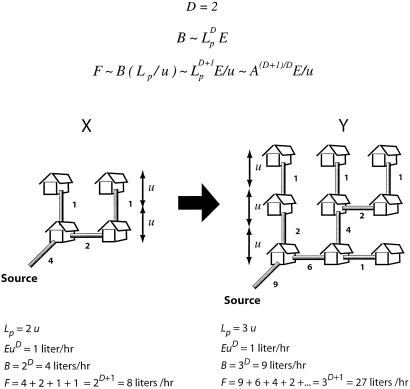 Supply–demand balance and metabolic scaling - PMC