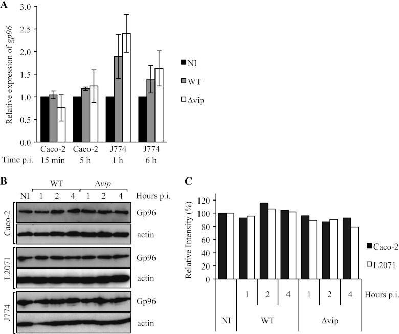 FIGURE 1.