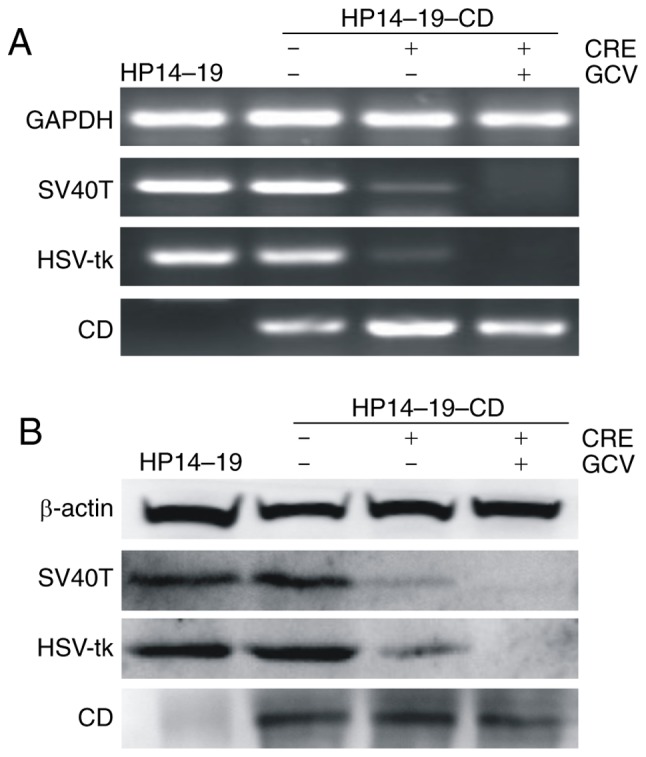 Figure 5