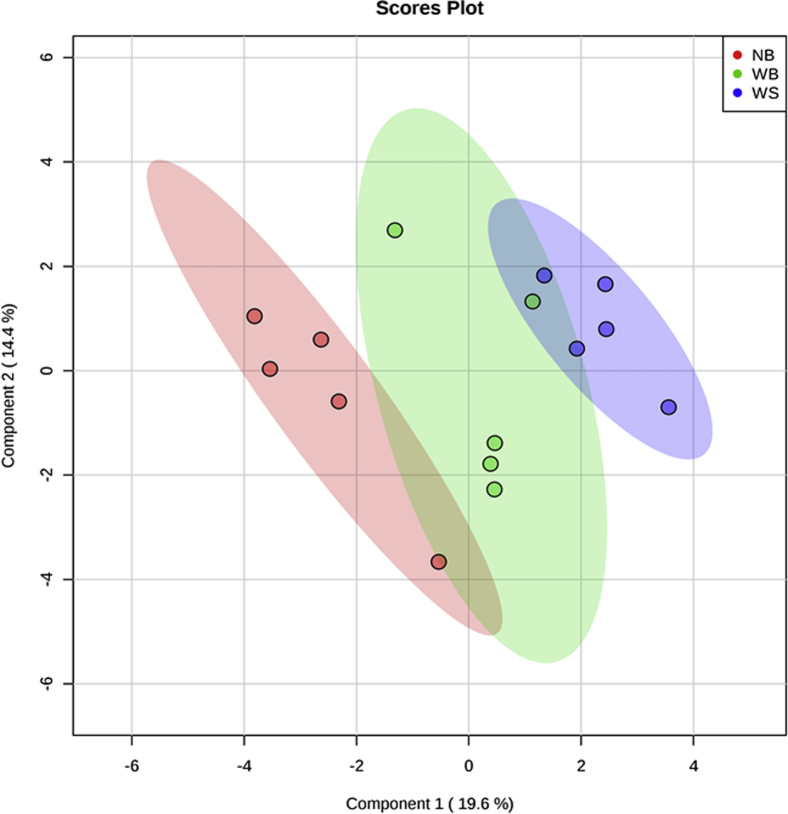 Figure 1