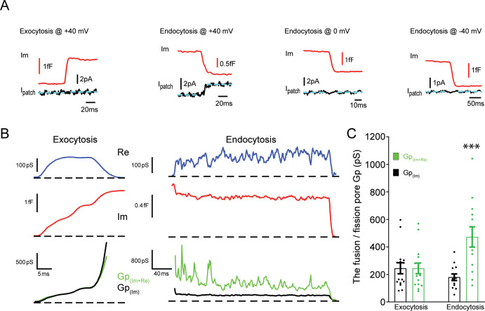 Figure 1—figure supplement 4.
