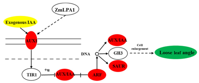 Figure 10