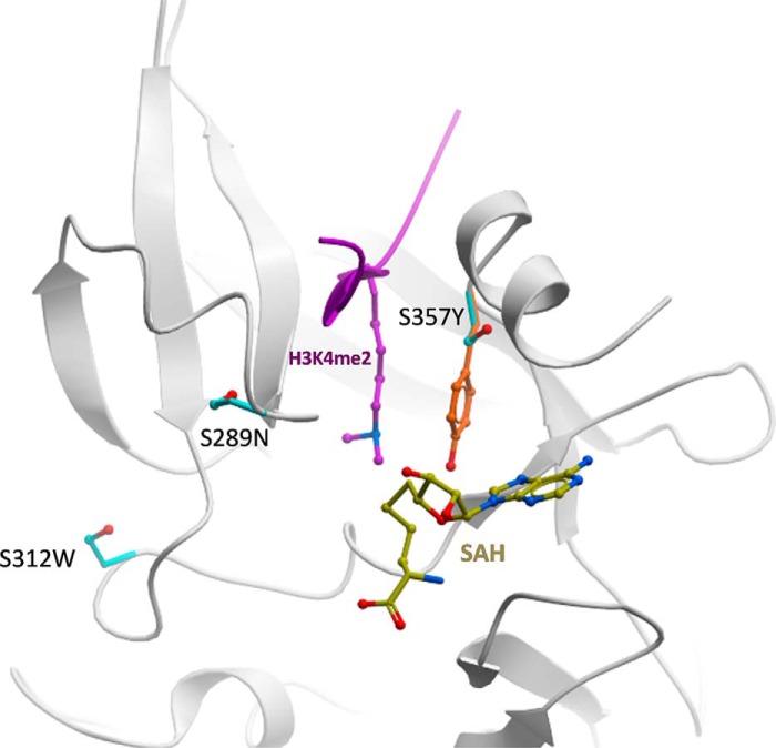 FIGURE 7.