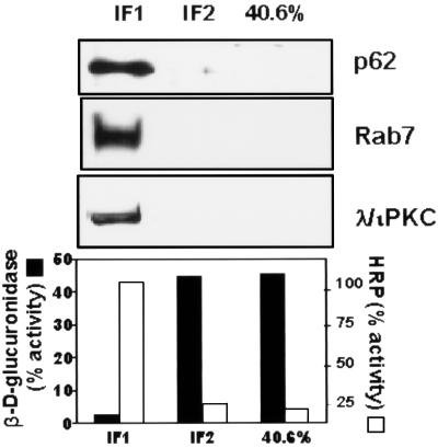 FIG. 10