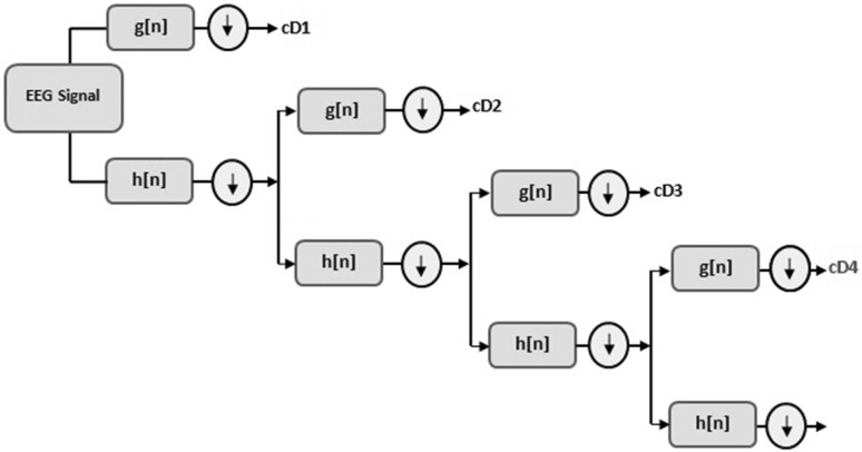 Fig. 5