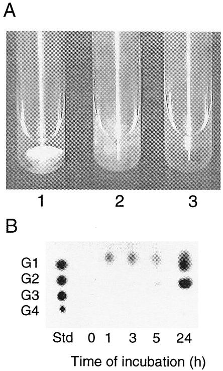 FIG. 7.