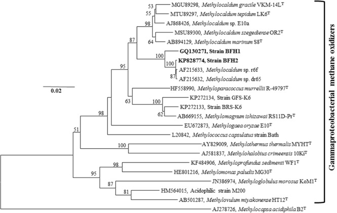 FIGURE 3