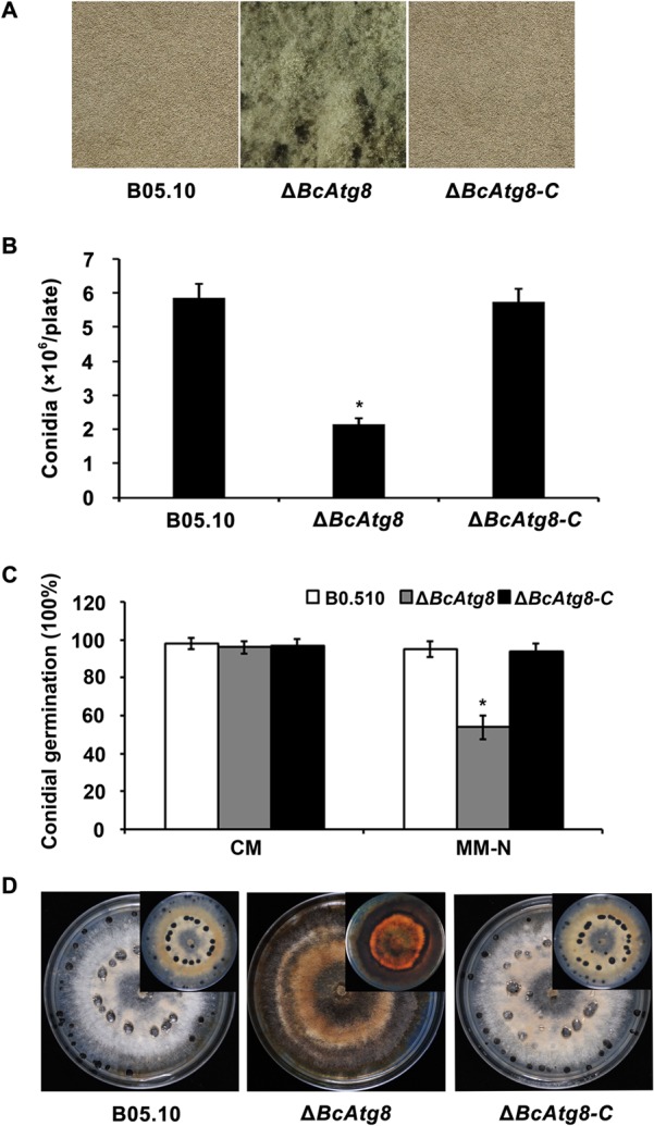 FIG 6