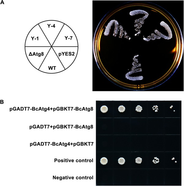 FIG 1