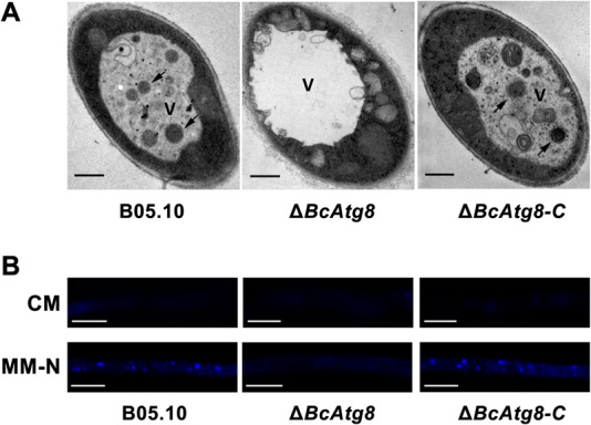 FIG 4