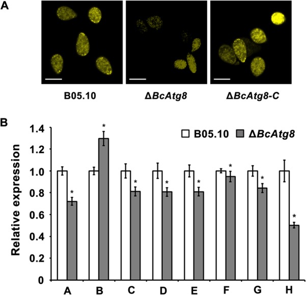 FIG 8