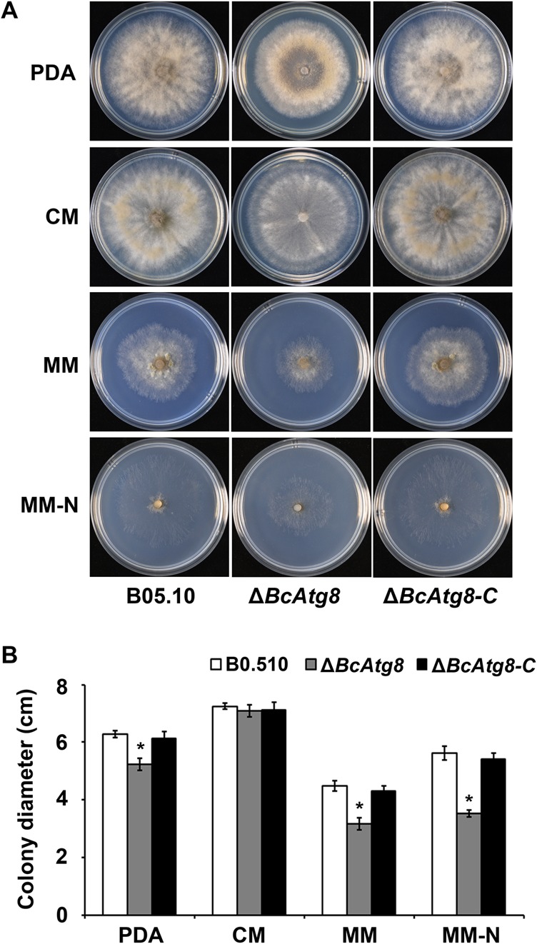 FIG 5