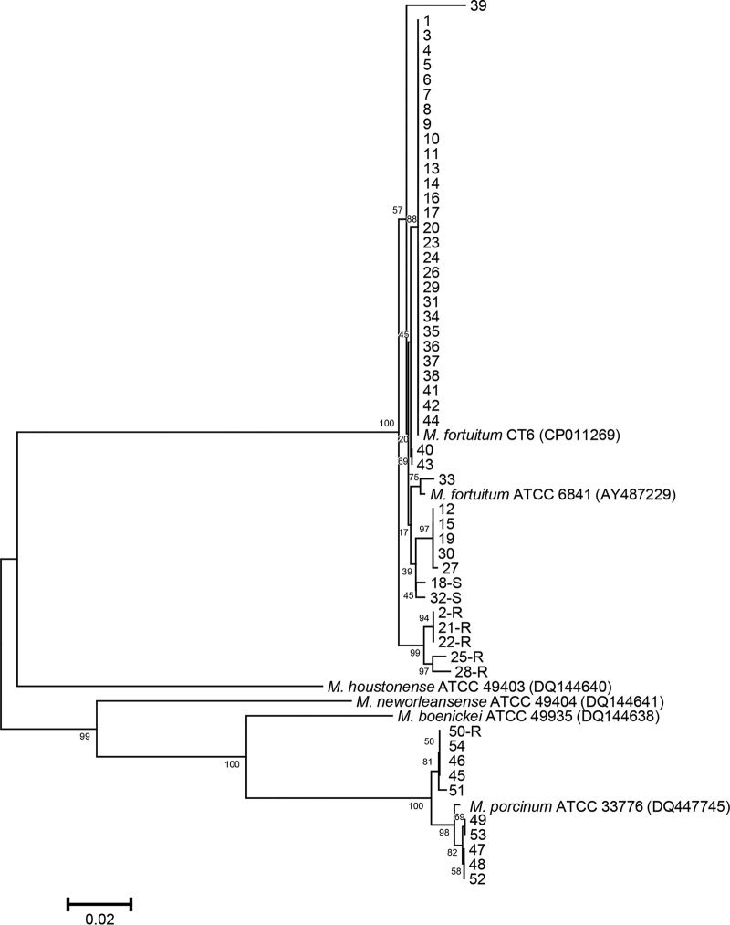 FIG 1