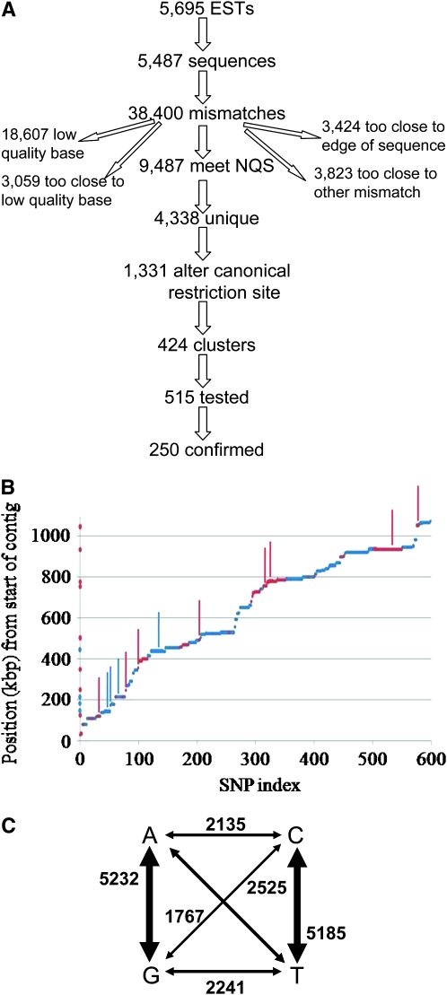 Figure 1.—