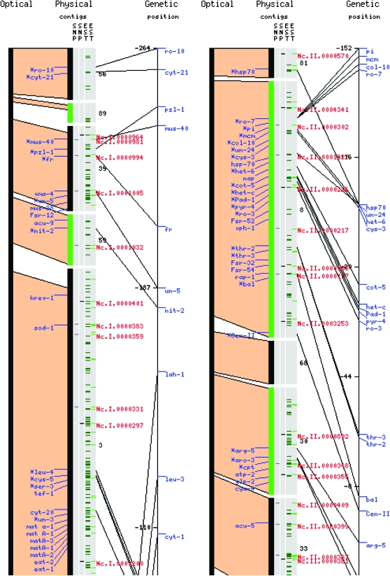 Figure 3.—