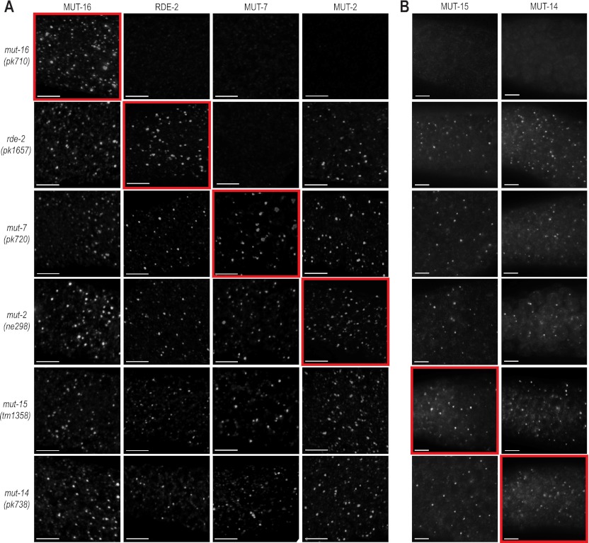 Figure 4.