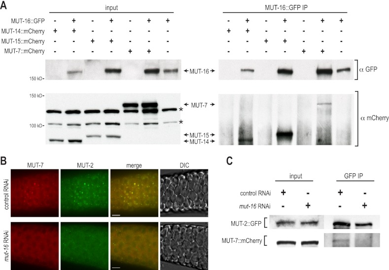 Figure 5.