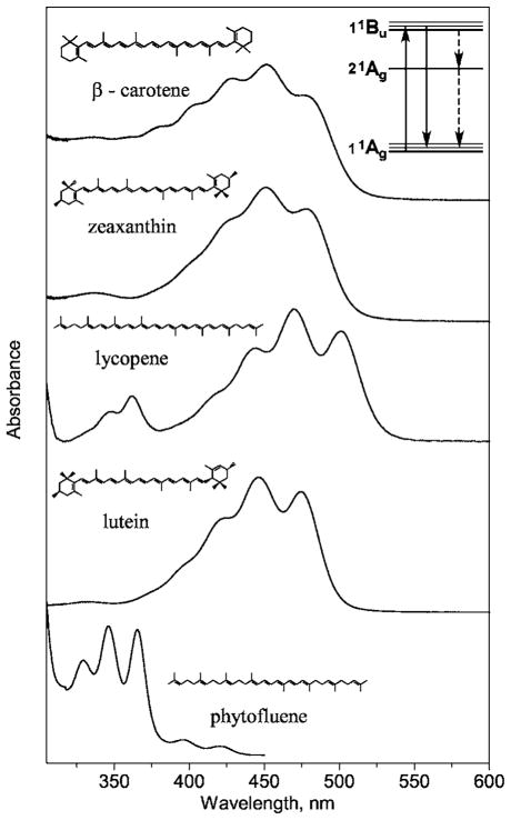 Fig. 1