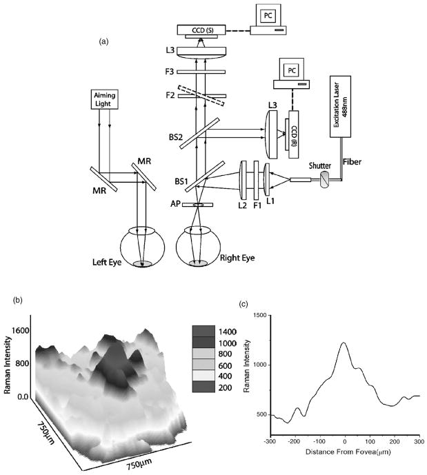 Fig. 10