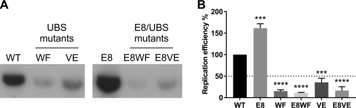 FIG 4