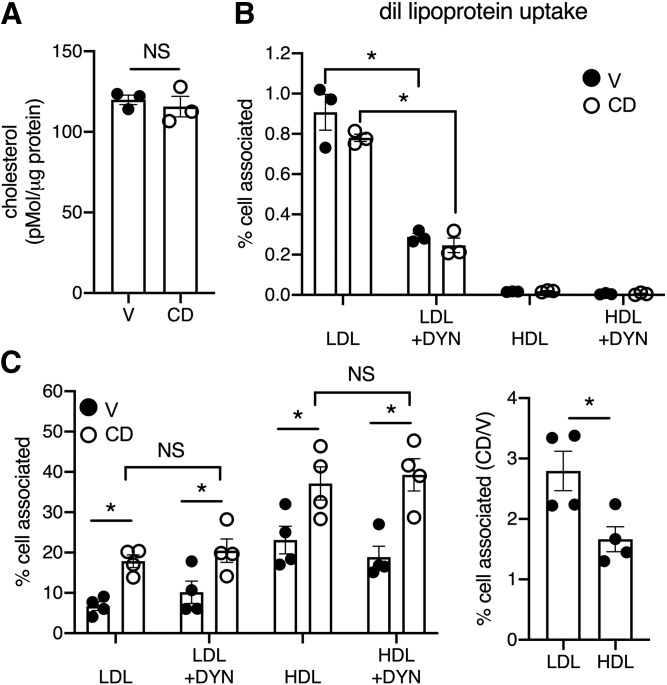 Fig. 6.