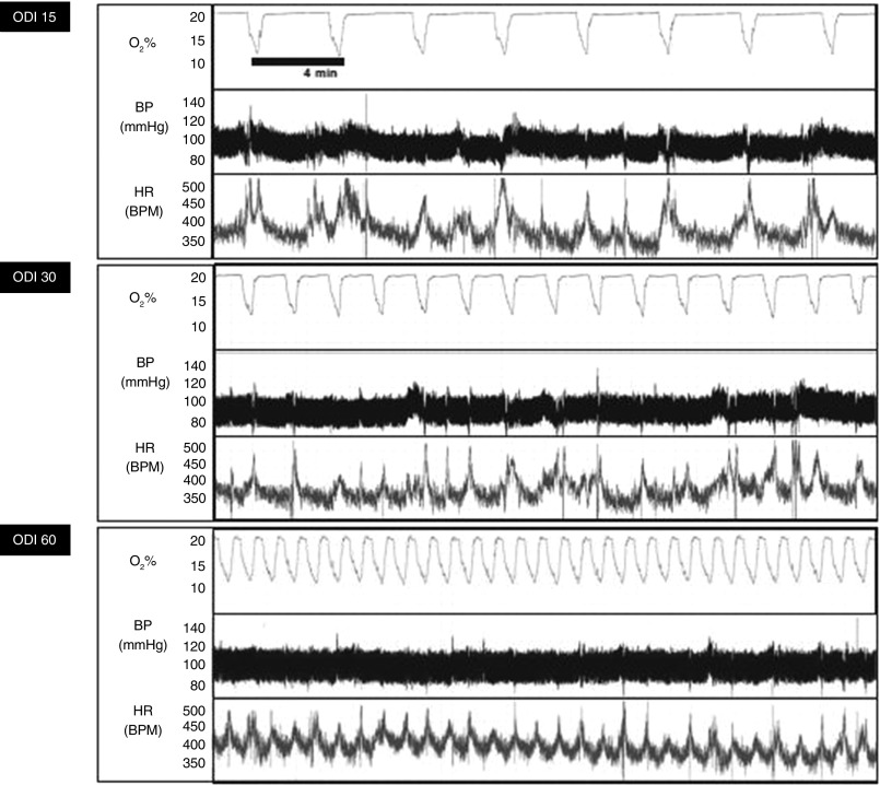 Figure 5.